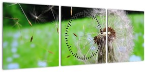 Tablou cu păpădie (cu ceas) (90x30 cm)