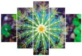 Tablou cu cactus (150x105 cm)