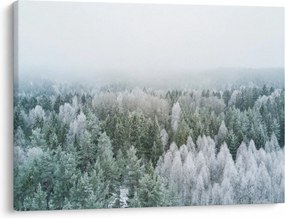 Tablou - Crestele munțillor înzăpezite (70x50 cm)