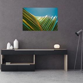 Tablou - Frunze de palmier (90x60 cm)