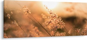 Tablou - Iarbă la soare (120x50 cm)