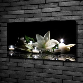 Tablou canvas Crin alb