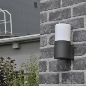 Aplica de perete exterior DALLAS 1xE27/12W/230V IP44 antracit