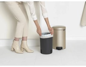 Cos de gunoi cu pedala Brabantia NewIcon 1003201, 12 L, Inchidere lina, Baza antiderapanta, Auriu metalic
