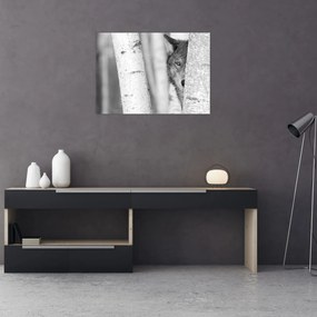 Tablou - Lupul din pădure (70x50 cm)