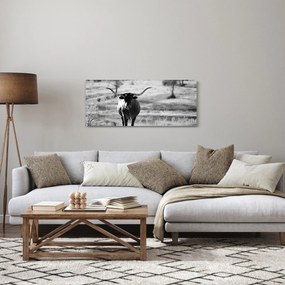 Tablou - Vacă,alb-negru (120x50 cm)