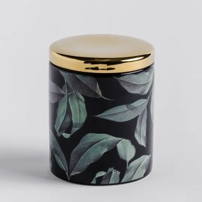 Container-frunze  afrolis