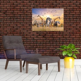 Tablou pe sticlă - Animae din Africa (70x50 cm)