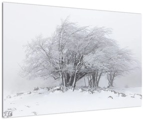 Tablou - Iarnă albă (90x60 cm)