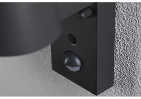 Aplică de exterior cu senzor Paulmann 94714 LED/6W IP44 CAPERA 230V