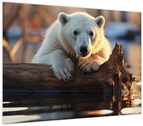 Tablou pe sticlă - Ursul polar (70x50 cm)