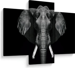 Tablou - Elefant pe fundal negru (90x60 cm)