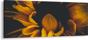 Tablou - Floarea-soarelui în fundal negru (120x50 cm)