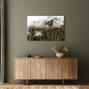 Tablou - Pădure în nori (90x60 cm)