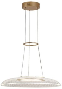 Lustra LED suspendata din metal auriu Zofrael D-50cm