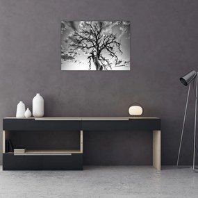 Tablou pe sticlă - Copacul, alb-negru (70x50 cm)