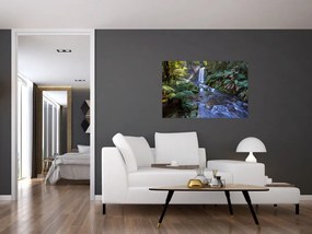 Tablou cu pădurea ploilor din Austalia (90x60 cm)
