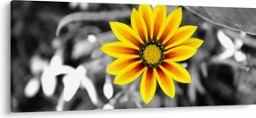 Tablou cu floare galbenă (120x50 cm)