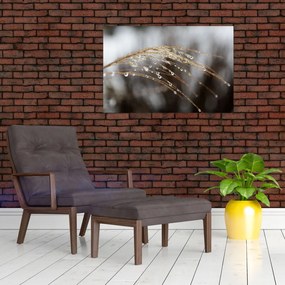 Tablou - Picături pe plantă (90x60 cm)