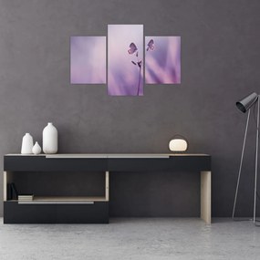 Tablou - Fluturi mov (90x60 cm)