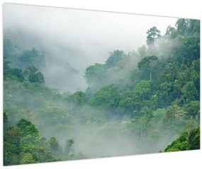 Tablou - Ceața de dimineață (90x60 cm)