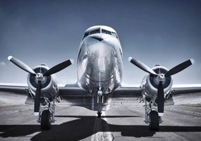 Fototapet - Avion (254x184 cm)