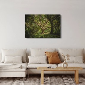 Tablou cu copaci (90x60 cm)