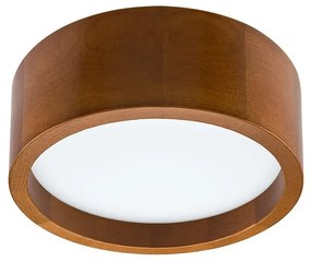 Plafonieră LED LED/21W/230V