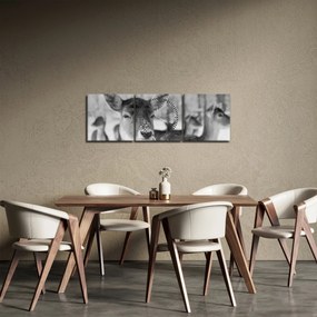 Tablou - Cerbi,alb-negru (cu ceas) (90x30 cm)