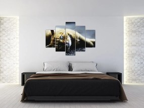 Tablou cu pisica (150x105 cm)