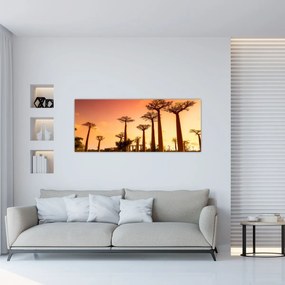 Tablou - Apus de soare pe Aleea Baobabilor (120x50 cm)