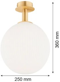 Plafonieră Argon 8505 PALOMA 1xE27/15W/230V auriu/alb