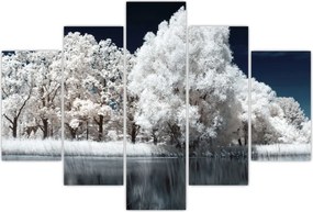 Tablou - Albă ca Zăpada Albă ca Zăpada Copaci (150x105 cm)