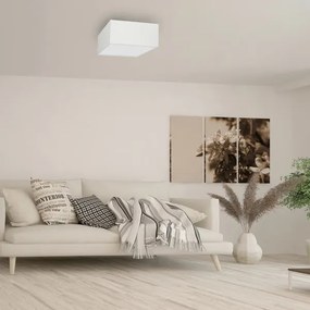 Plafonieră ALBION 2xE27/60W/230V