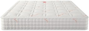 Saltea cu Memory Foam Riviera Pierre Cardin 3-5 Zile, 120 cm, 200 cm, 26 cm, Saltea Riviera Pierre Cardin 120x200