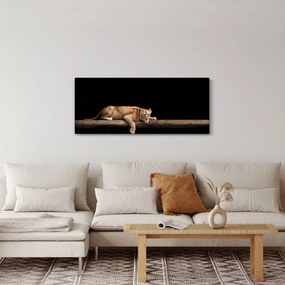 Tablou - Lioness (120x50 cm)