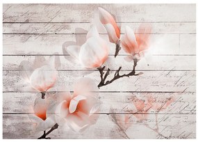 Fototapet - Subtlety of the Magnolia