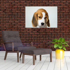 Tablou cu bigl (90x60 cm)