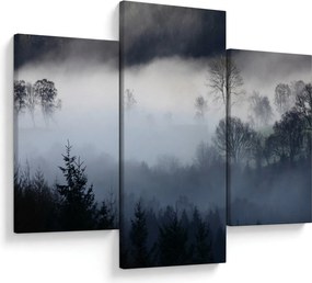 Tablou cu ceță deasupra pădurii (90x60 cm)