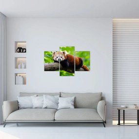 Tablou cu panda roșie (90x60 cm)