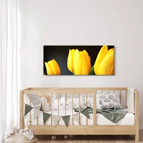 Tablou cu lalele (120x50 cm)