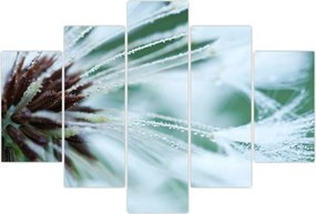 Tablou - Detaliu floare (150x105 cm)