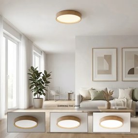 BRILAGI - Plafonieră LED dimabilă SMART MANAROLA, 24W/230V, Ø 41 cm + telecomandă