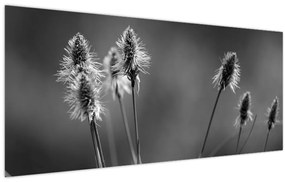 Tablou - Iarbă moale bej N⁰2 (120x50 cm)