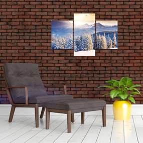 Tablou - Peisaj montan în timpul iernii (90x60 cm)