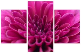 Tablou cu floare (90x60 cm)
