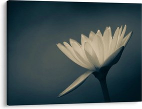 Tablou cu flori (70x50 cm)