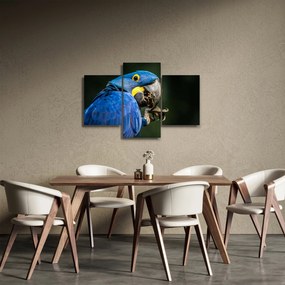 Tablou cu papagal (90x60 cm)