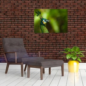 Tablou cu păun (70x50 cm)