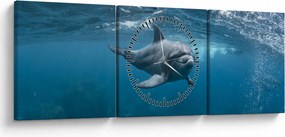 Tablou - Delfin sub apă (cu ceas) (90x30 cm)